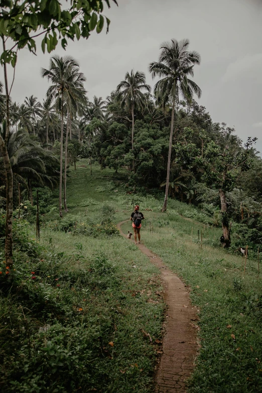 a man walking in the forest alone on a path