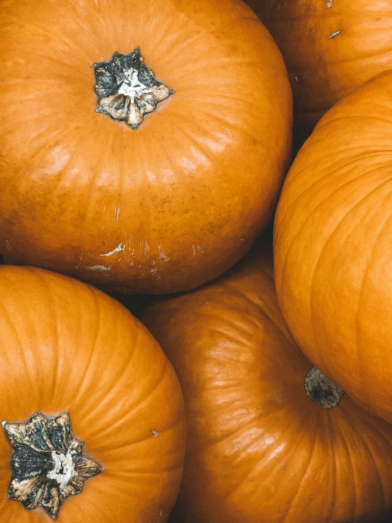 pumpkins stacked in pile ready for sale for sale