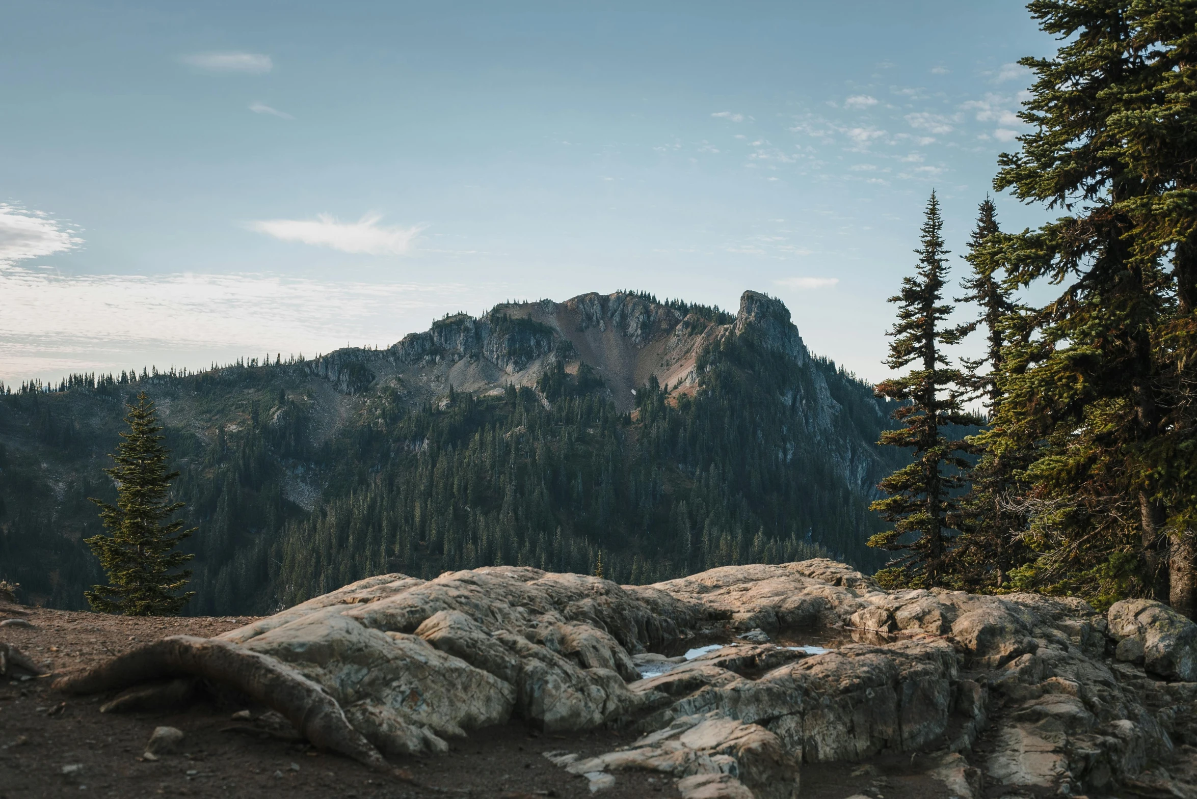 an image of the mountainside landscape with rocks and trees