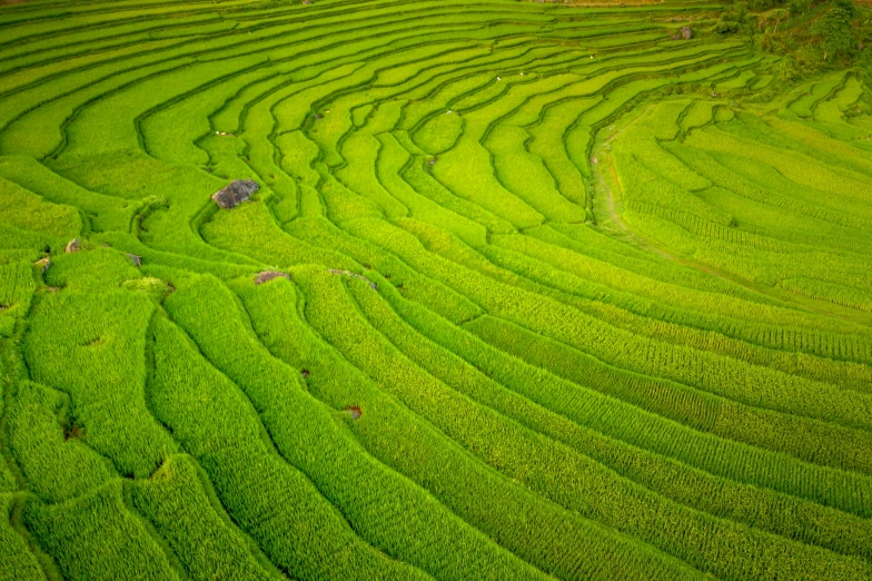 a green field is shown with small hills