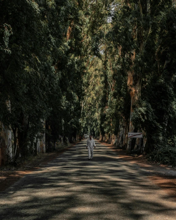 a ze walking down the road in a forested area