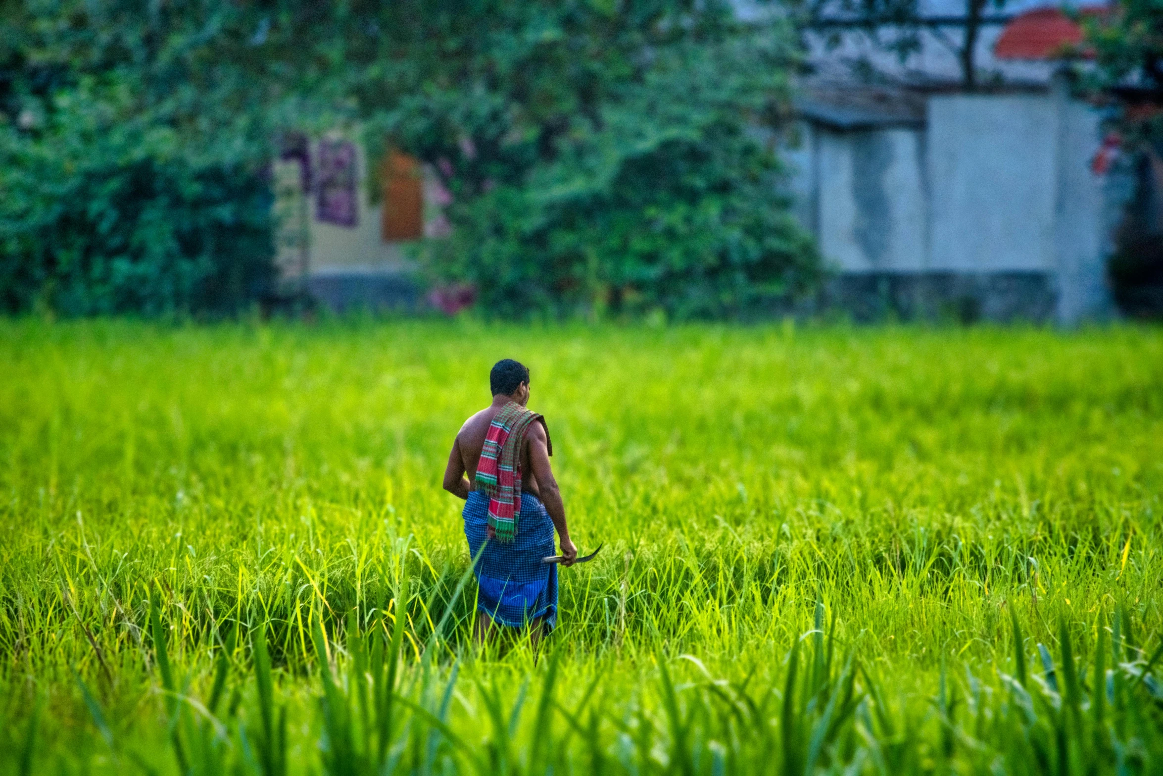 a person in a field with a dog