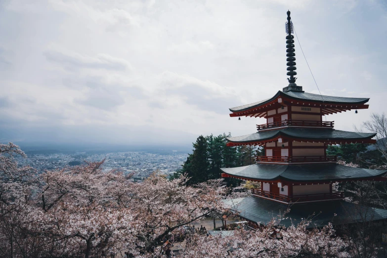 the tall building is surrounded by many cherry trees