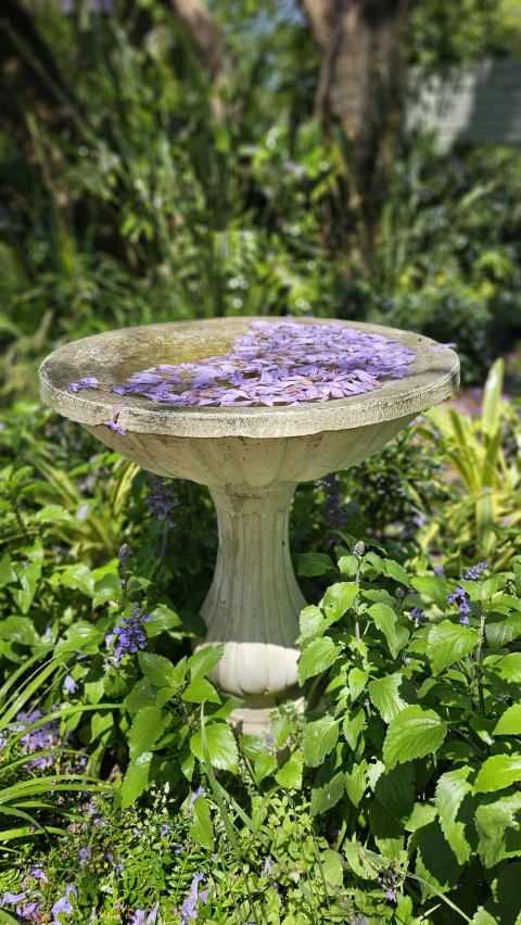 a large stone bowl with flowers on it in the middle of some plants