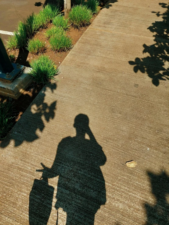 a shadow of a person taking a picture of themselves