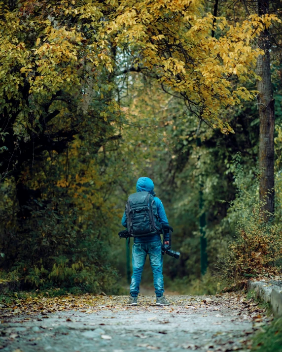 the lone person walking through a forest on a tree - lined road