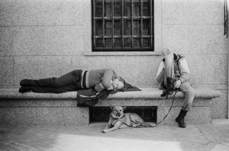 two people sleeping on the sidewalk on a bench with their dog