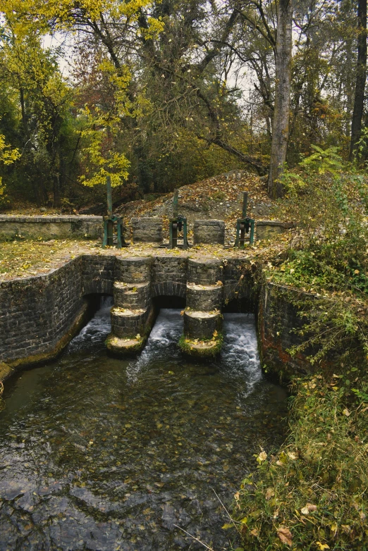 an open area near a small creek in the middle of woods