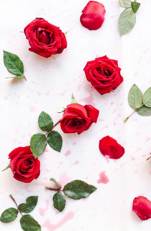 three red roses lying in a dle of water