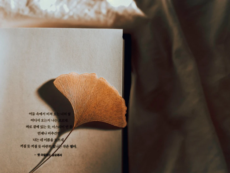 a book on a bed with an orange leaf