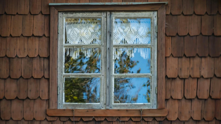 a reflection of a building and tree outside the window