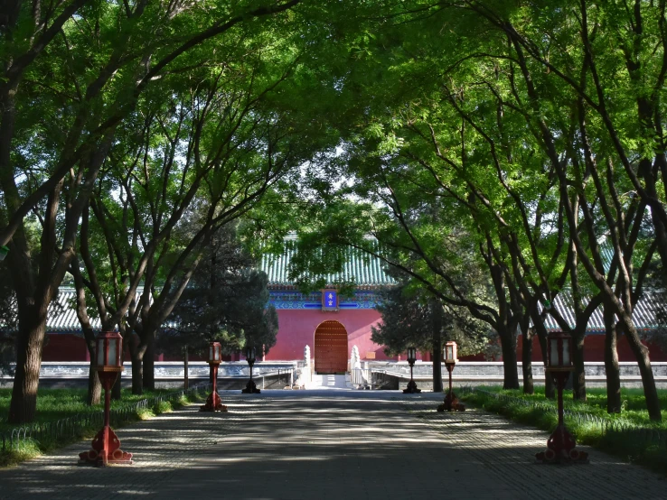 a road with trees on both sides and some buildings in the distance