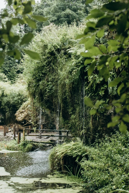 people in an open space with trees and water