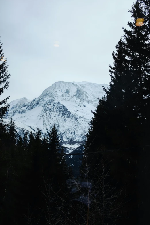 the snow covered mountains near trees are seen from the distance