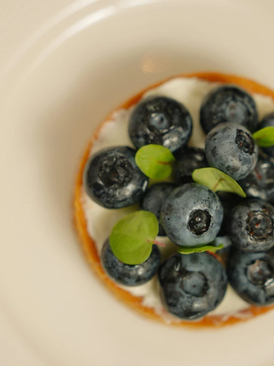 a close up s of food on a plate