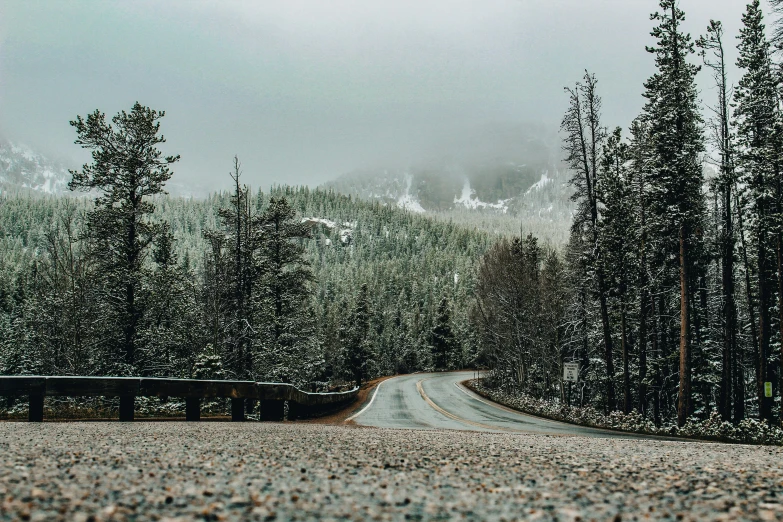 a road surrounded by tall pine trees and with a snow covered mountain in the background