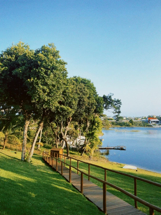 a large lake in the middle of a park