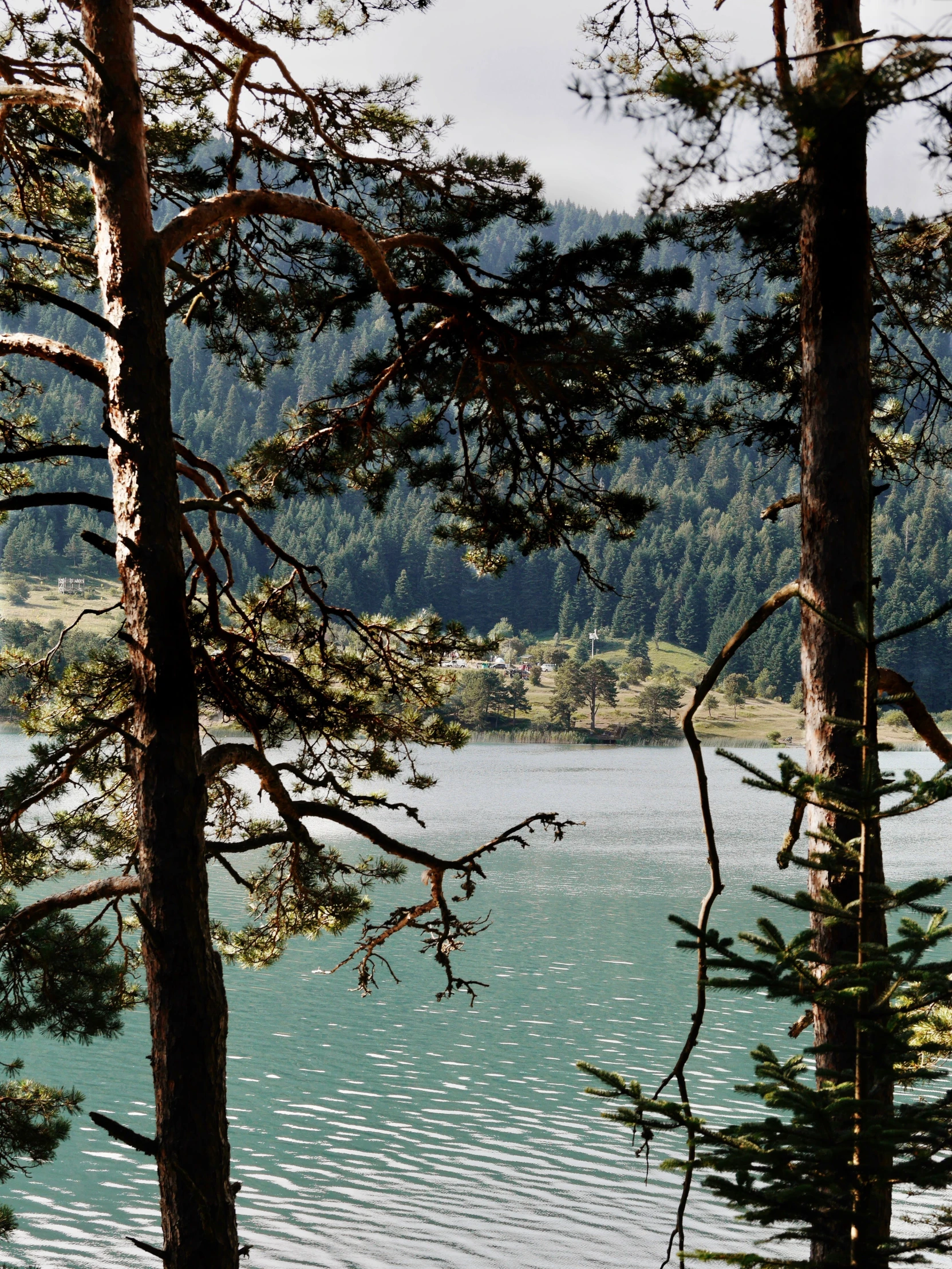 there is a lake with trees around it