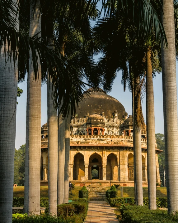 a house with a dome surrounded by palm trees