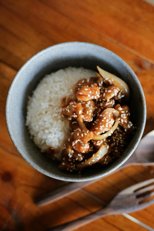 a small blue bowl filled with rice and a meat dish