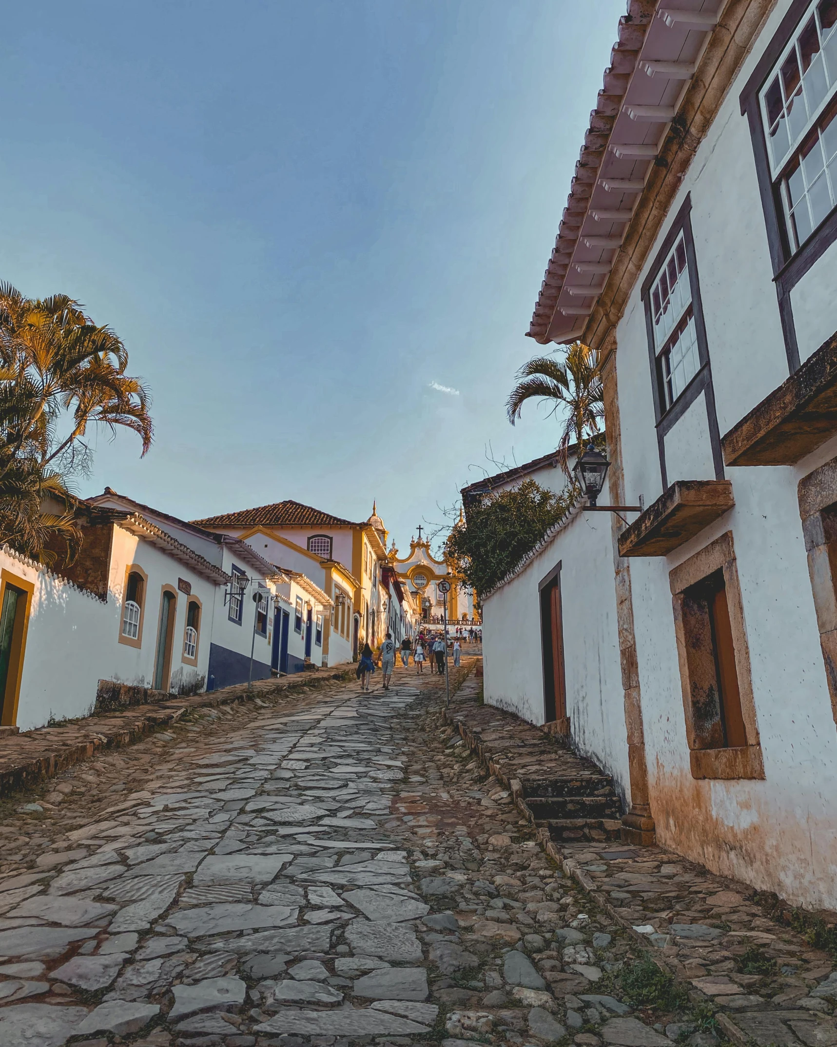 narrow street with cobblestone walkway with trees on both sides