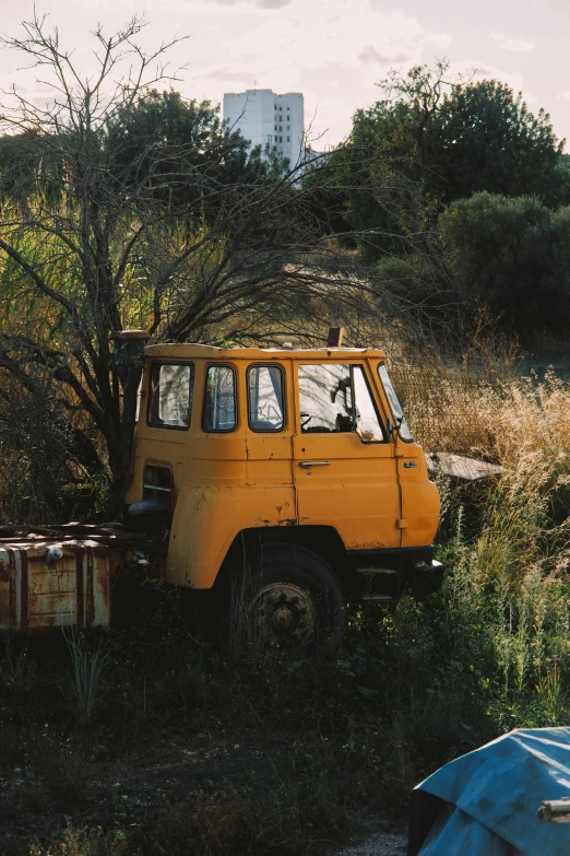 the abandoned jeep is sitting in the overgrown area