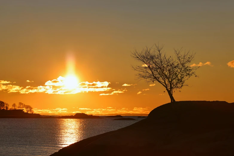 a lone tree on top of a small hill