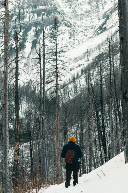 man on snow board heading up hill in wooded area