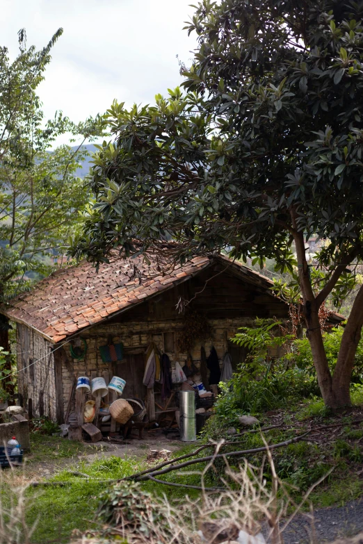 a group of people outside an old building under trees