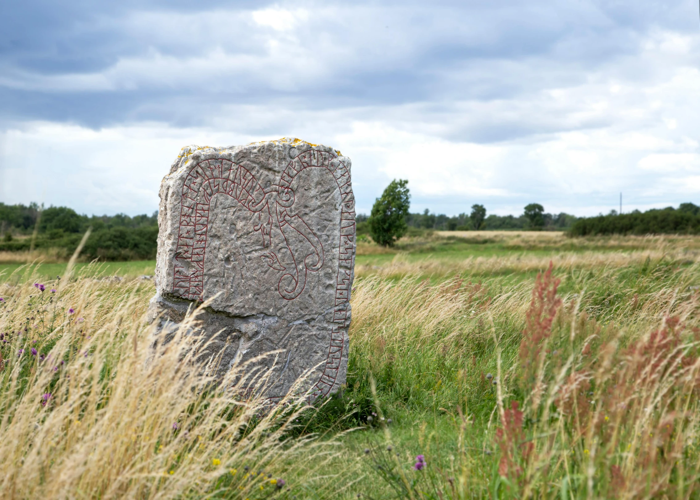 an old grave on a field surrounded by wildflowers