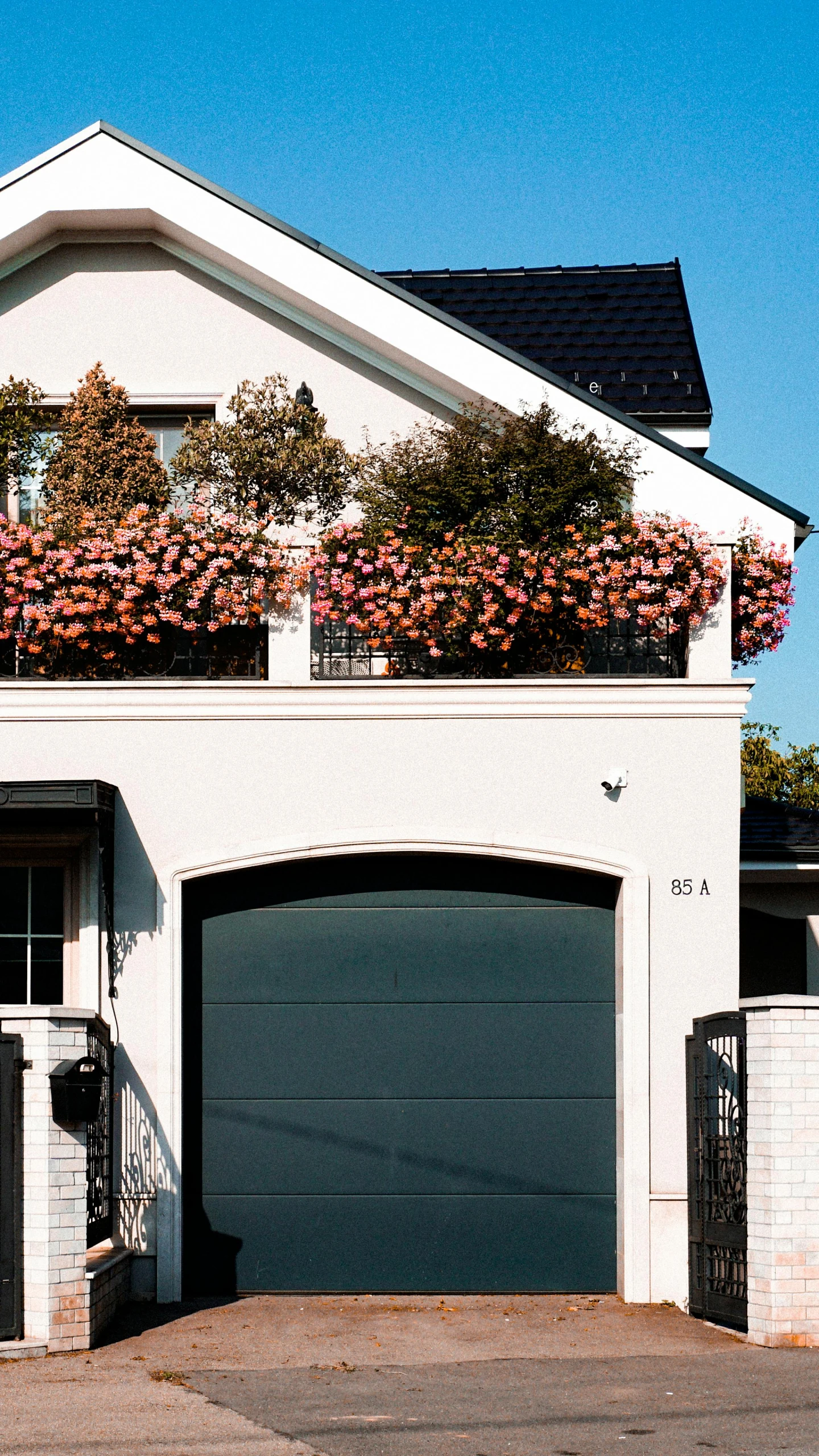 a garage with some plants growing on it