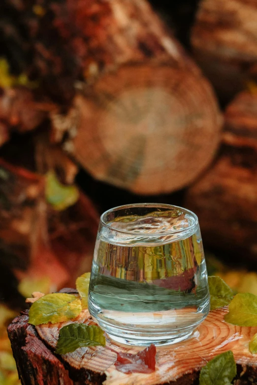 a water goblet is shown on top of a tree