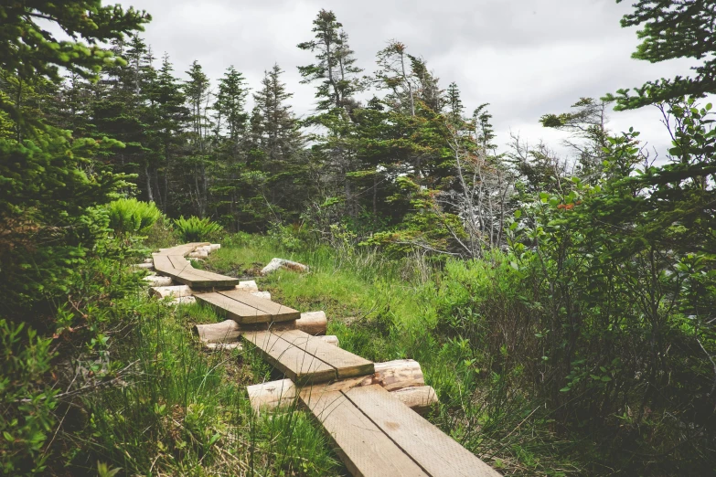 wooden benches are lined up on the slope