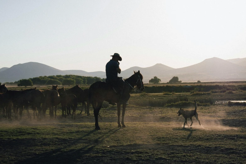 a man is riding on a horse that's in the dirt