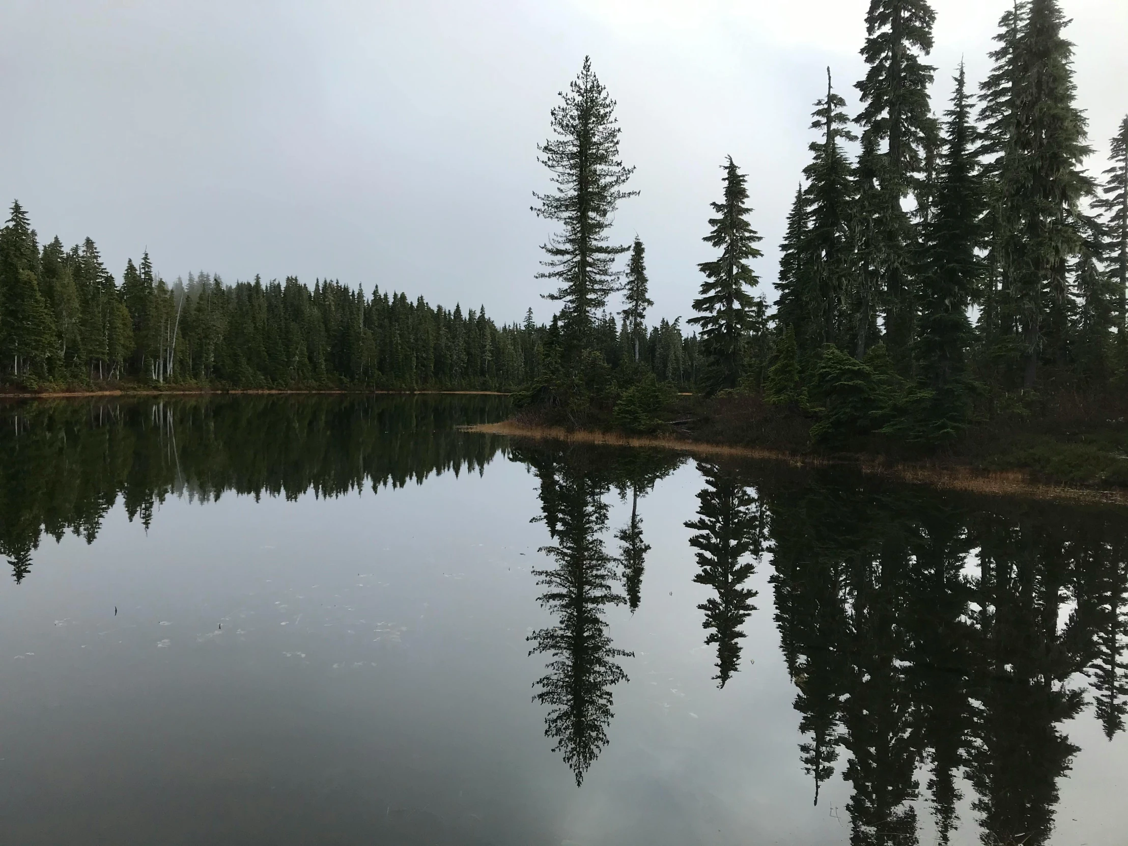 a lake that is surrounded by some trees