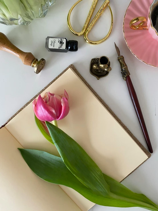 pink flower and other office items sitting on a white table