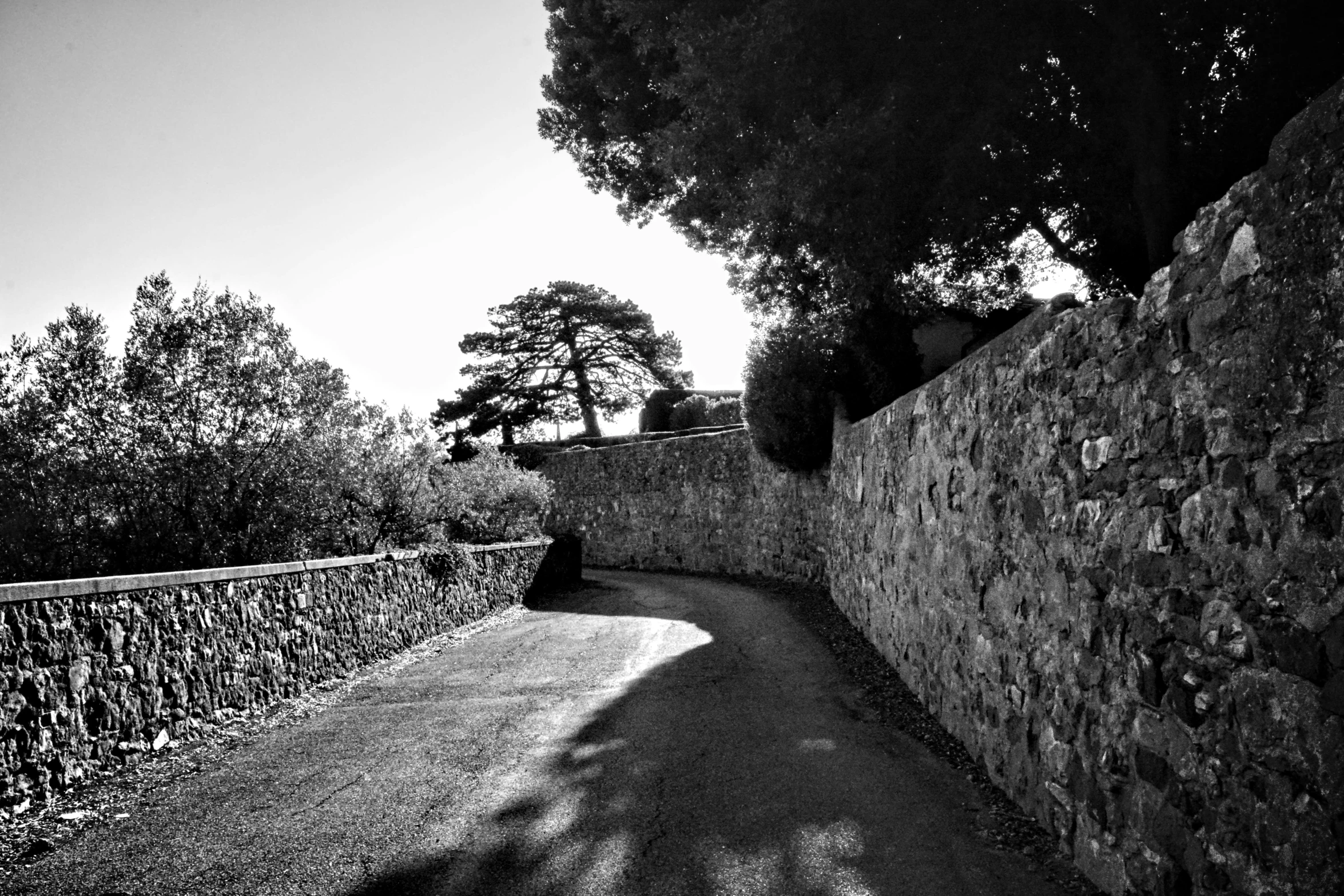 the wall is made from stone bricks and has trees