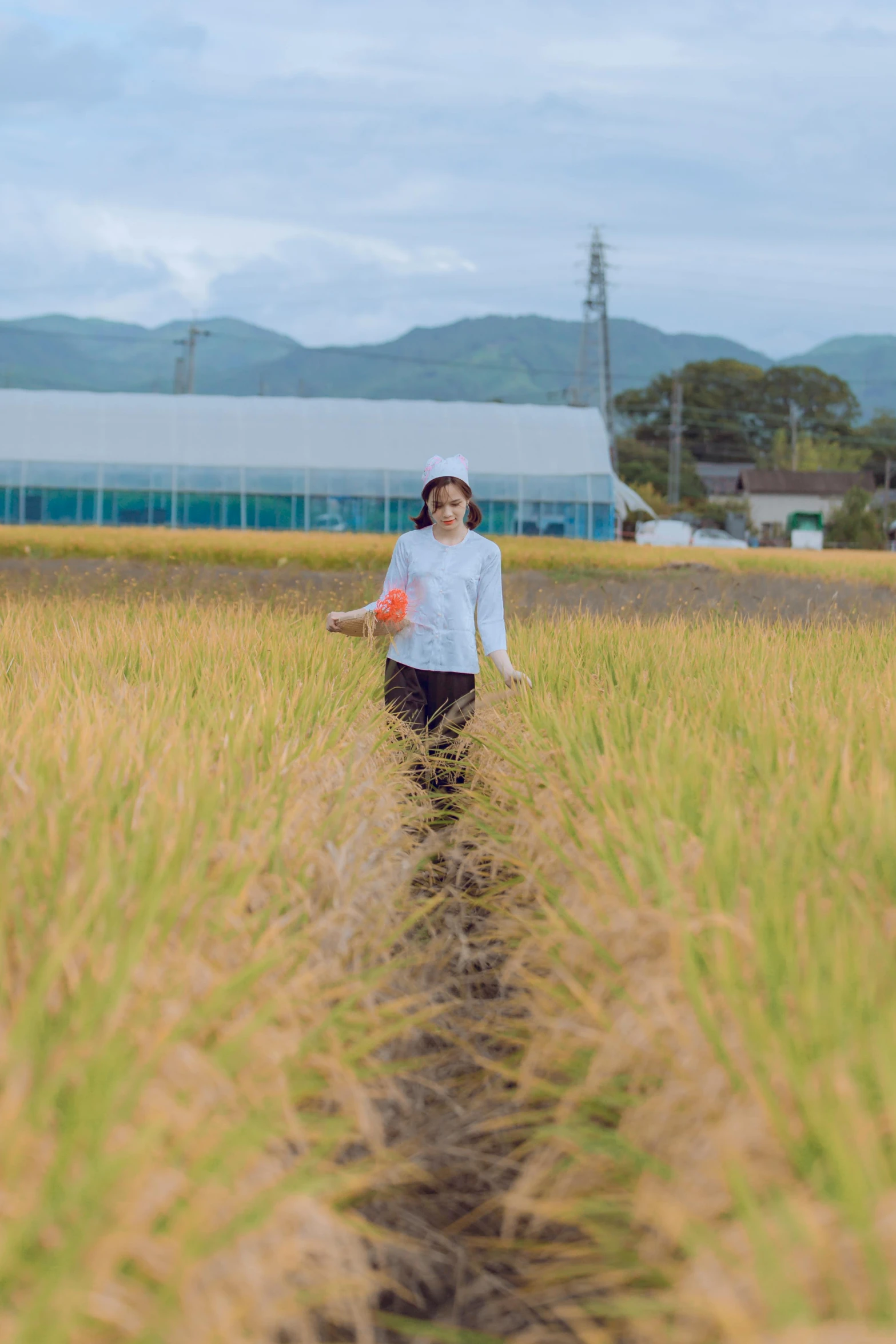 a woman in a field with long grass on the side