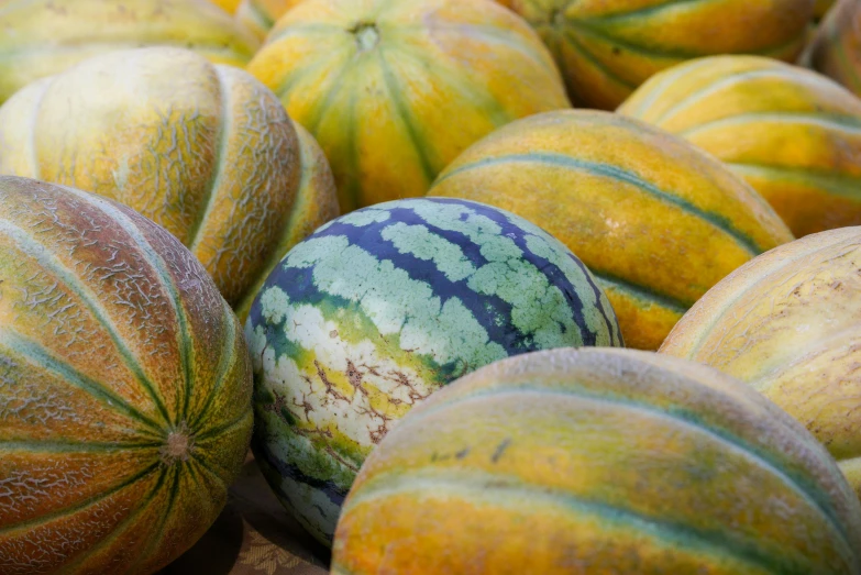 several whole watermelon's and one another are laying together