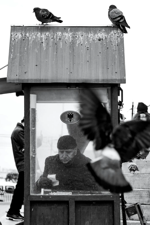 three birds sitting on top of a building next to each other