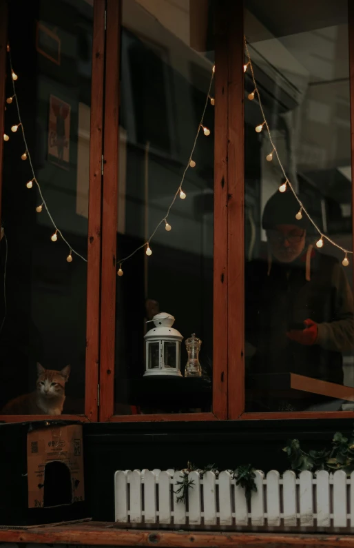 a man and a cat sitting outside a window looking in at soing