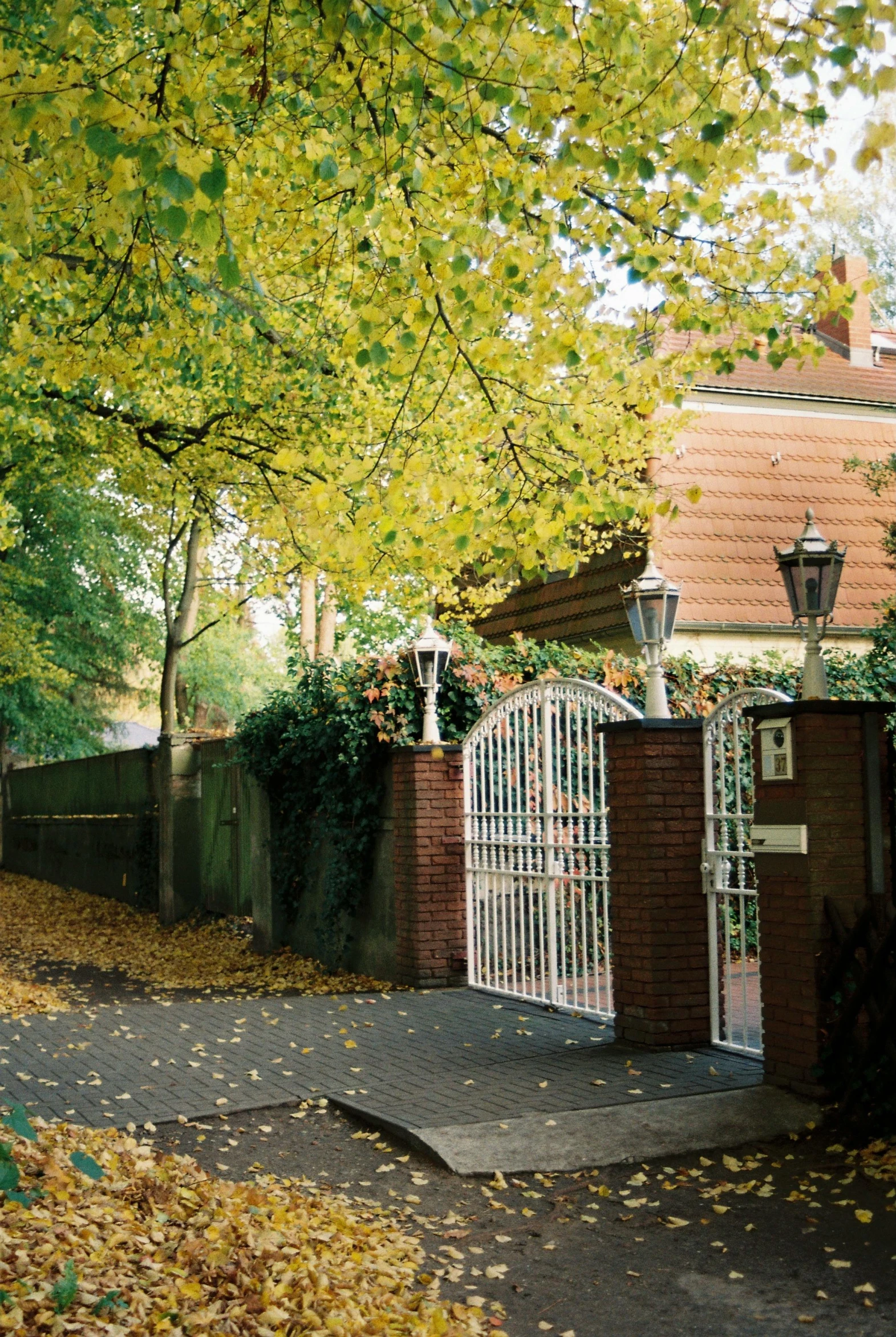 an image of a beautiful autumn home with a gated driveway