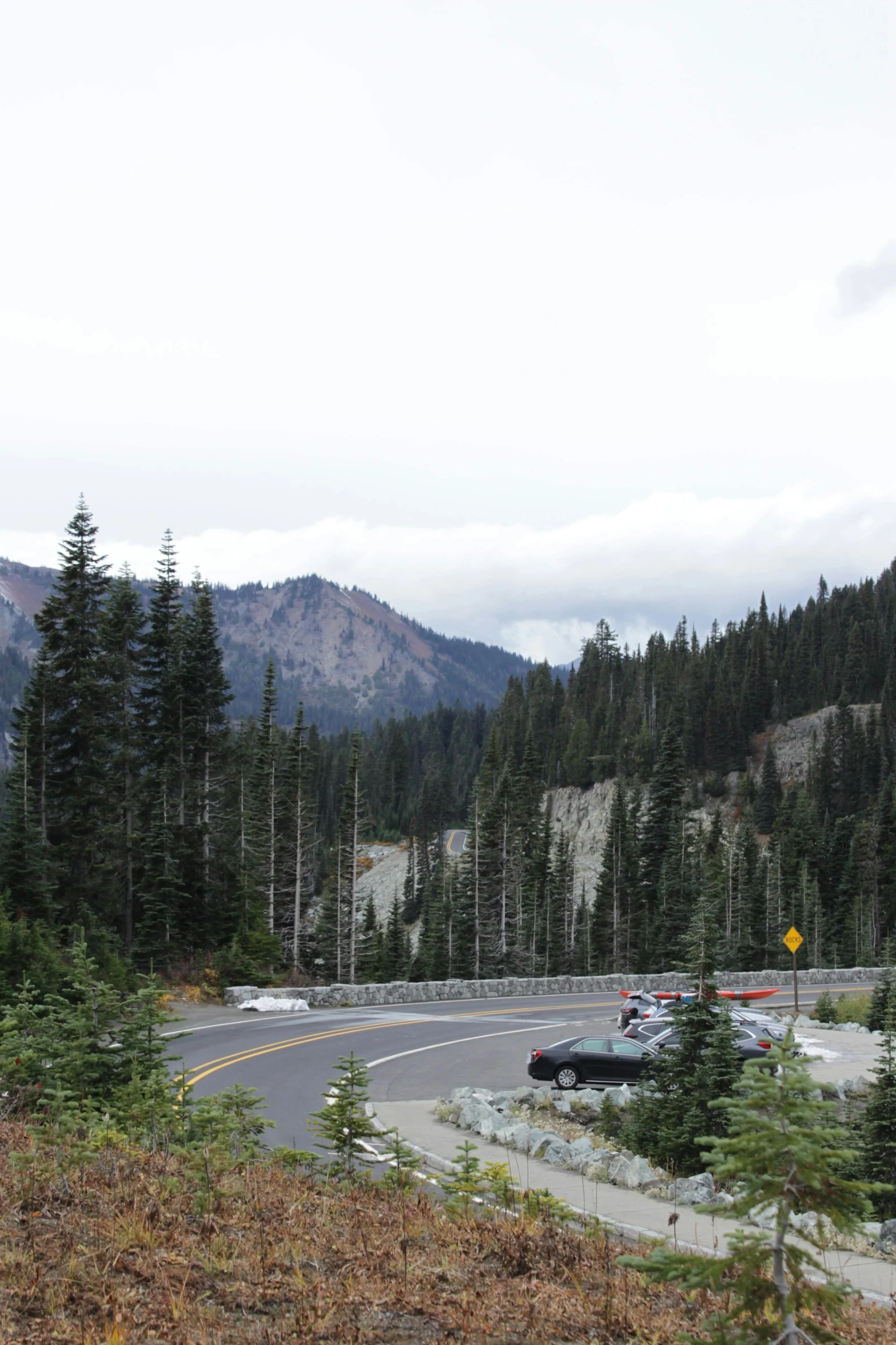 view of a curved road with trees and mountains