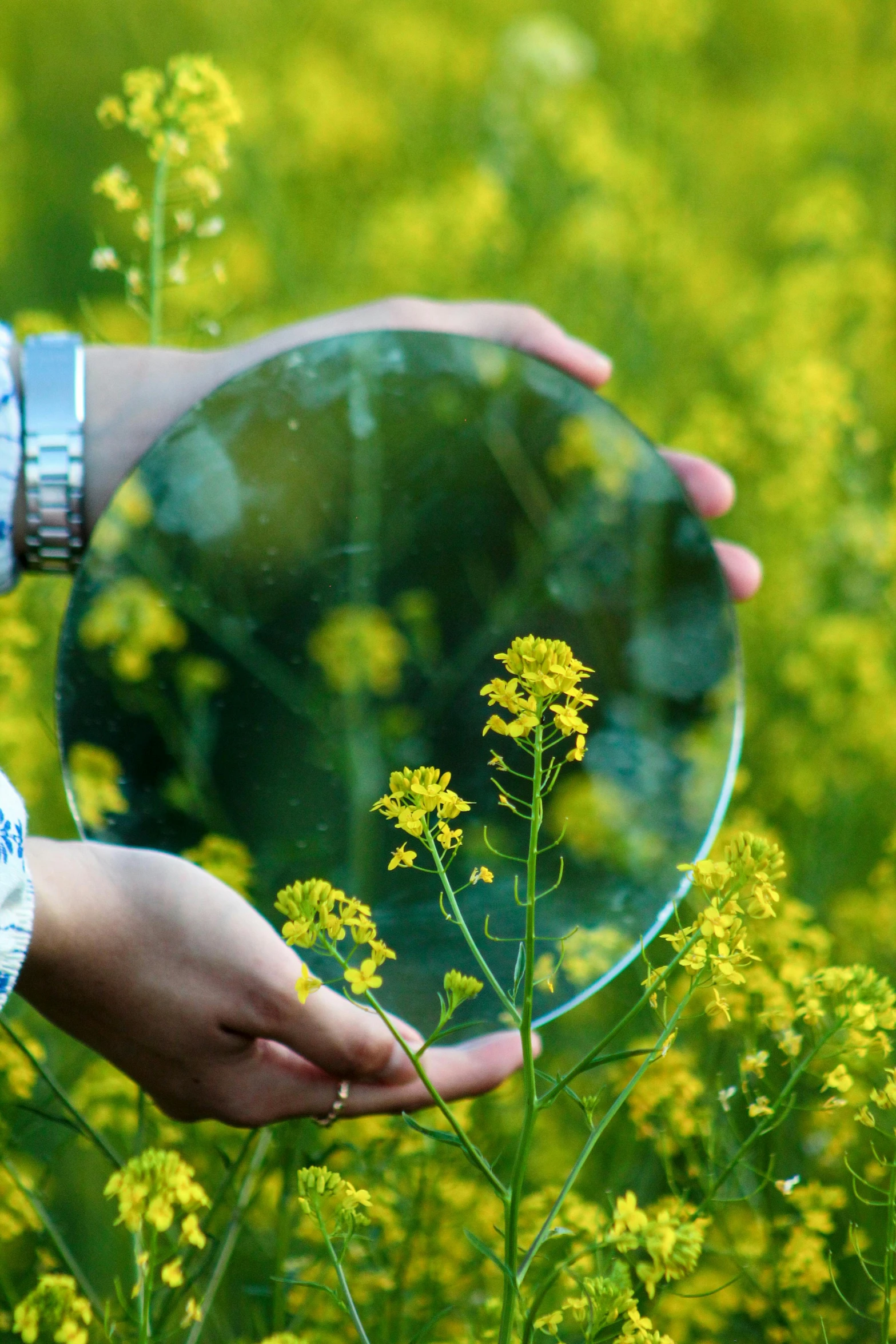 a person holding a plastic plate over a grassy field