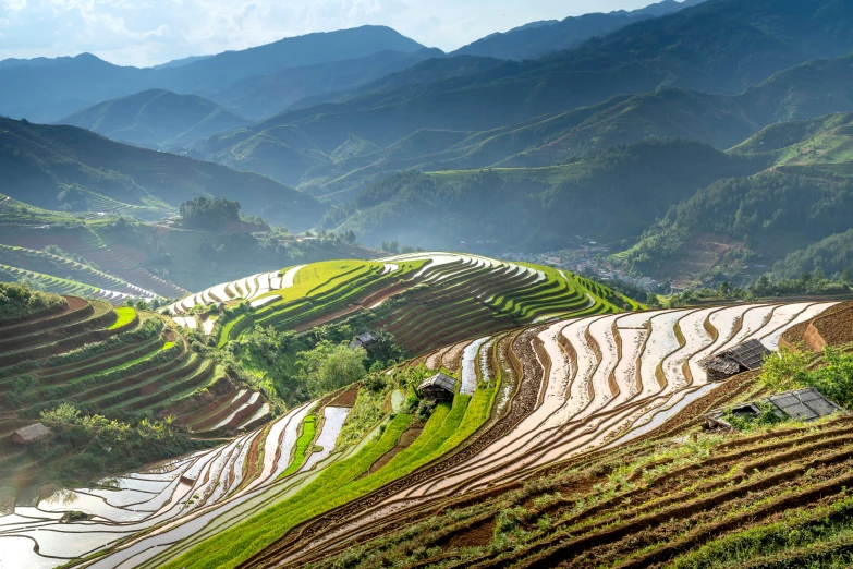 terraced rice hills in mountainous landscape with green grass