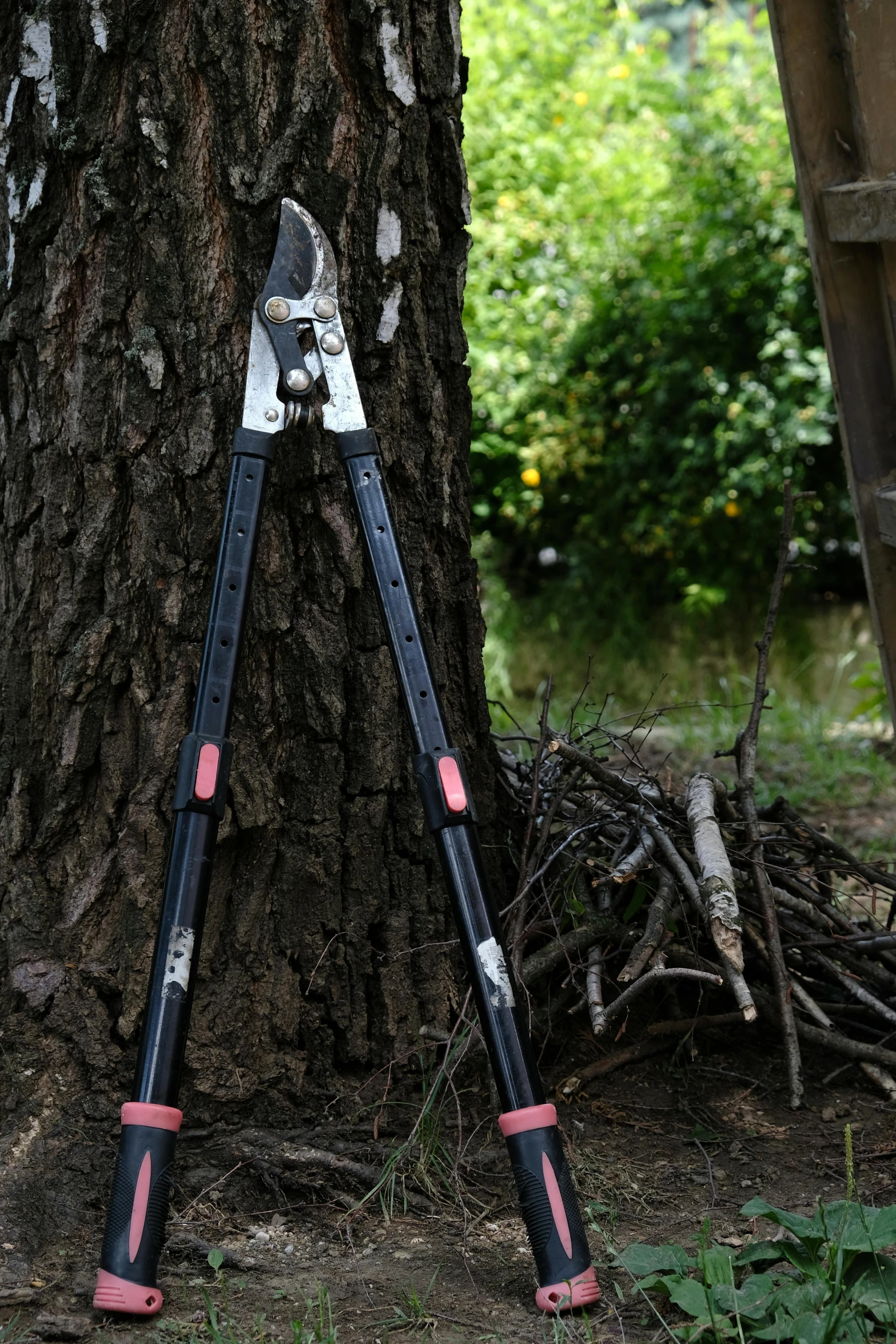 two pair of black and pink plastic blades on the ground by a tree