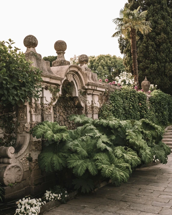 a garden scene with plants and buildings