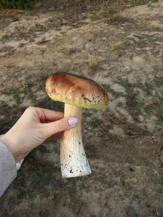 a woman is holding a mushroom in her hand