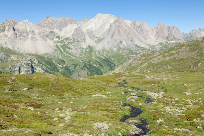 a mountain meadow is shown with a stream running by