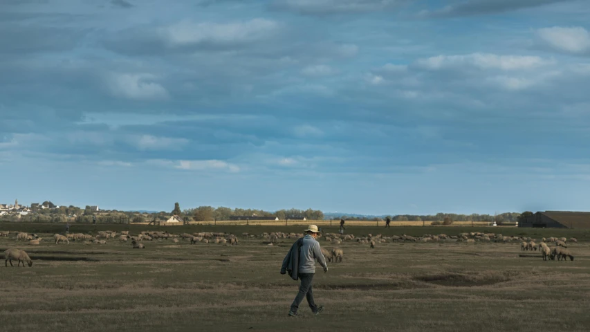 the woman walks through the field with all of her livestock